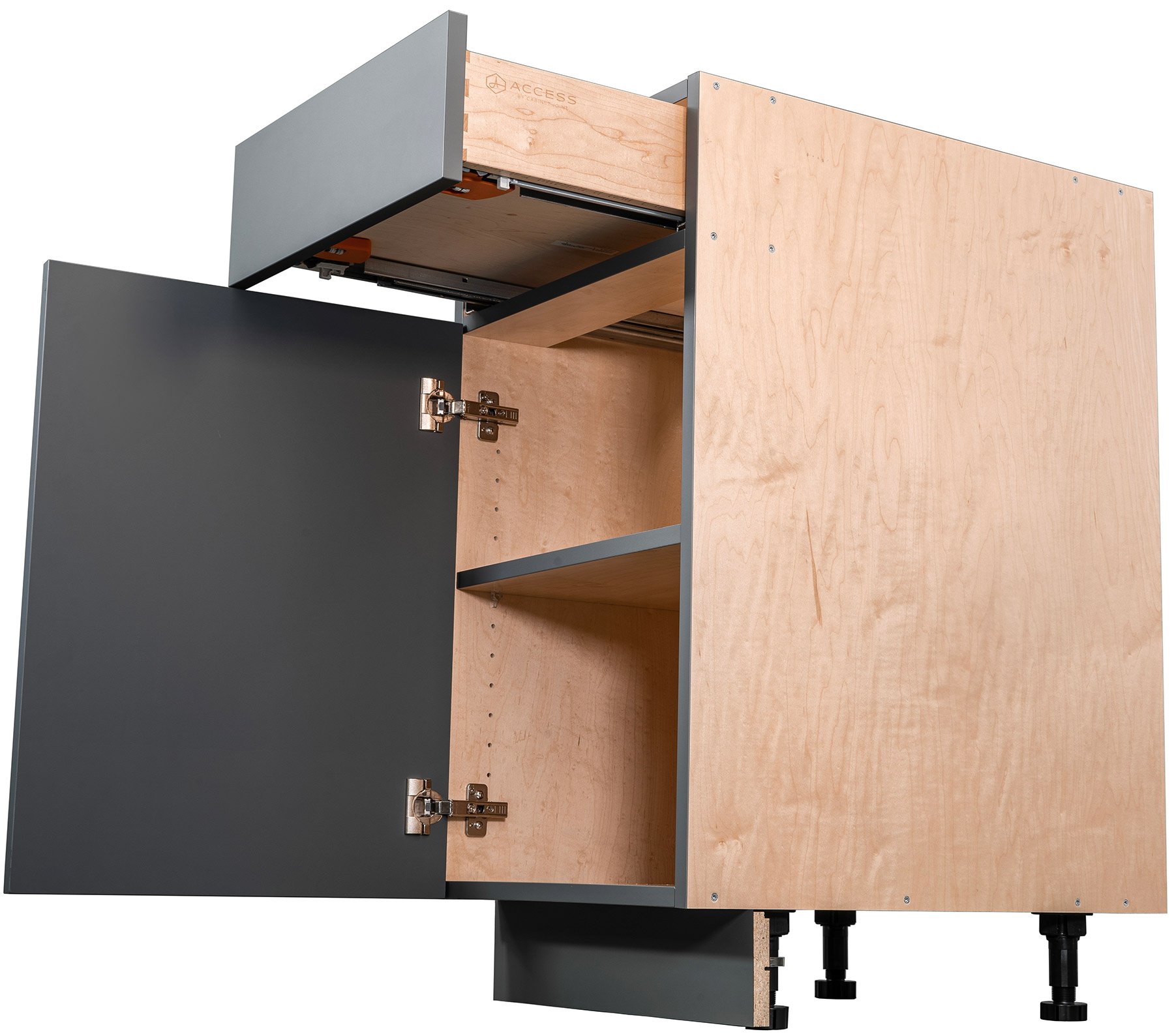 Access cabinet anatomy